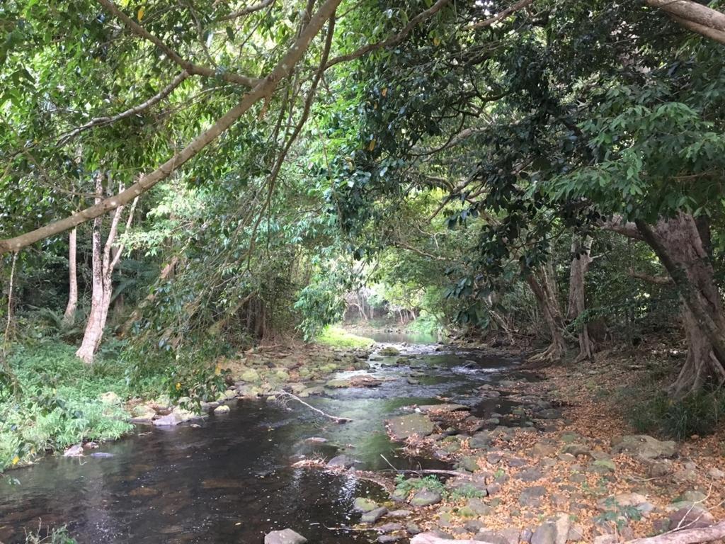 Cairns Crystal Cascades Holiday Park Екстериор снимка